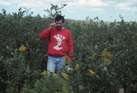 Photograph of Richard Morash standing in an unsprayed alder reference plot, Little River Lake sit...