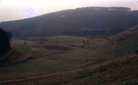 Photograph of landscape between Bitburg and Daun