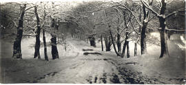 Photograph of a snowy road on Studley campus