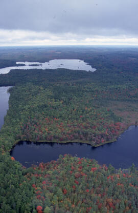Aerial photograph of mixed Acadian forest near two lakes in the Tobeatic Wilderness Area, southwe...