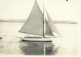 Photograph of a yacht on the basin near Digby, Nova Scotia