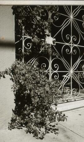 Photograph of a gated entrance to an unidentifed residence