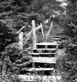 Photograph of an old wooden staircase on McNab's Island