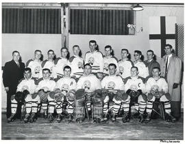 Photograph of the district three hockey team