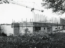 Dalplex Construction : View 5