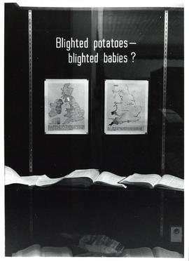 Photograph of display case exhibit on Blighted Potatoes and Blighted Babies