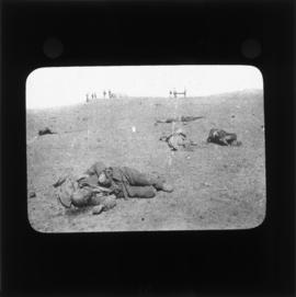 Photograph of fallen soldiers