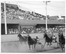 Photograph of Horse racing in Charlottetown Prince Edward Island
