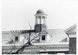 Photograph of the turret on the Science Building