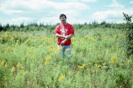Photograph of Richard Morash standing in a glyphosate spray plot, six years after spraying, Littl...
