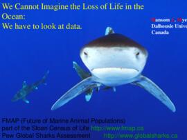 We cannot imagine the loss of life in the ocean: We have to look at the data : [PowerPoint presen...