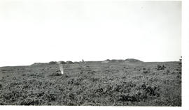 Photograph of the ridge at Fort Beausejour