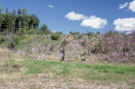 Photograph of Richard Morash standing in an area of slow regeneration one year after glyphosate s...