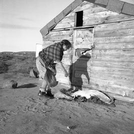 Photograph of Alicie Berthé with a dead seal at her family's store house near the Koksoak River