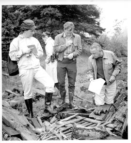 Photograph of four bird watchers looking at a pile of wooden debris