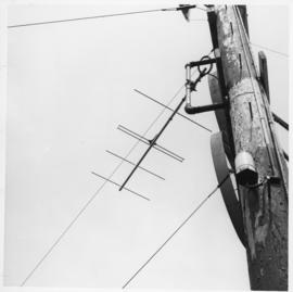 Photograph of an Island Telephone Company telephone pole
