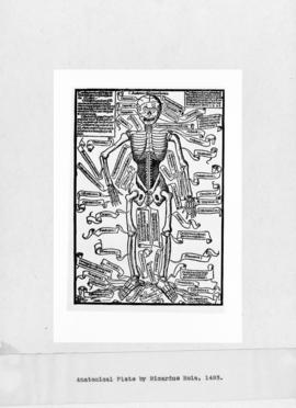 Photograph of Anatomical Plate by Ricardus Hela