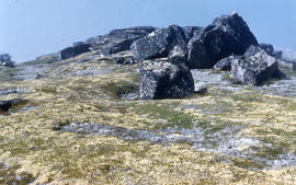 Photograph of vegetation and rock formations on the tundra in George River, Quebec