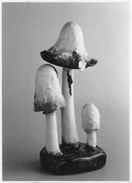 Photograph of ceramic mushrooms on display at the McCulloch Museum