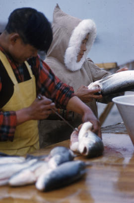 Photograph of a man and a woman cleaning fish in George River, Quebec