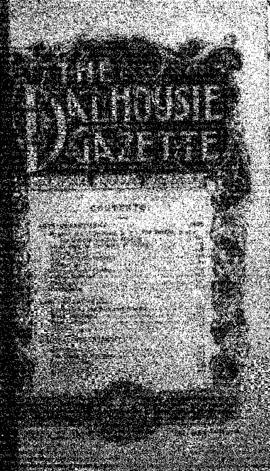 The Dalhousie Gazette, Volume 30, Issue 4