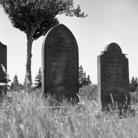 Photograph of the tombstones of Peter, Joanna, and John Henry McNab