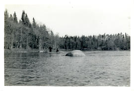 Photograph of J.A. Parker and Dunlap fishing from a canoe downstream from the "Low Bridge" to Pol...