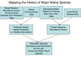 Mapping the history of major Maine species : [presentation]