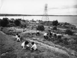 Photograph of children picking blueberries near Africville