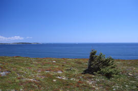 Photograph of Mosher's Island from the Gaff Point trail, near Kingsburg, Nova Scotia