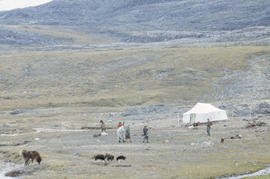 Photograph of a tent, people, and dogs near Cape Dorset, Northwest Territories