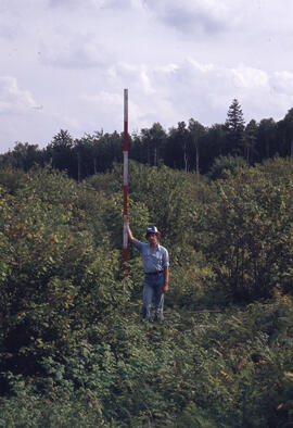 Photograph of an unidentified researcher conducting forest biomass measurements at Plot 6, at an ...