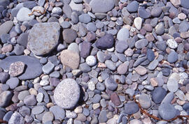Photograph of round stones on the coast along the Gaff Point trail, near Kingsburg, Nova Scotia