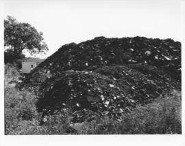 Photograph of a pile of dirt at the Dalplex construction site