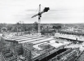 Dalplex Construction : View 8