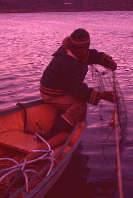 Photograph of a man setting nets at Ikkudliayuk