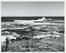 Photograph of Thomas Head Raddall looking out over the entrance of Moose Harbour with binoculars
