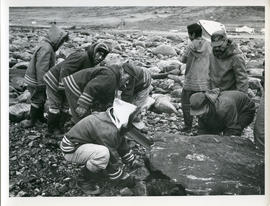 Photograph of a team of men removing a boulder from a path in Wakeham Bay, Quebec