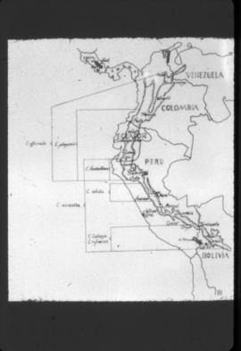 The Bark: Map of South America districts