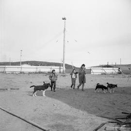 Photograph of three girls walking with four dogs in northern Quebec