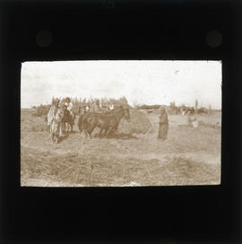 Photograph of a group of people in a field with horses