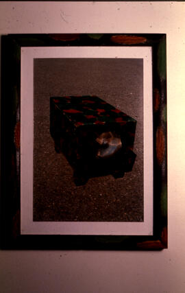 Photograph of a work by Sean McQuay on display during the Locations/National group exhibition