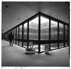 Photograph of a hallway with windows in the Killam Memorial Library