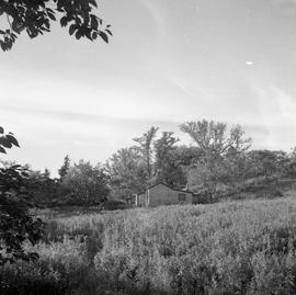 Photograph of a small house on McNab's Island
