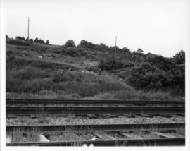 Photograph of train tracks on the former location of Africville