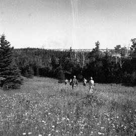 Photograph of five people walking through a field on McNab's Island