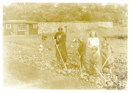 Photograph of Halifax Health Commission gardening effort in Massachusetts