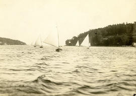 Photograph of dinghies racing in the Halifax Harbour