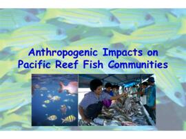 Antropogenic impacts on pacific reef fish communities : [PowerPoint presenation]