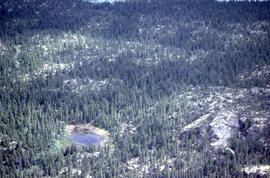 Photograph of a basin bog near Postville, Newfoundland and Labrador